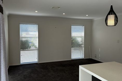 Photo of property in 20 Payne Court, Lincoln, 7608
