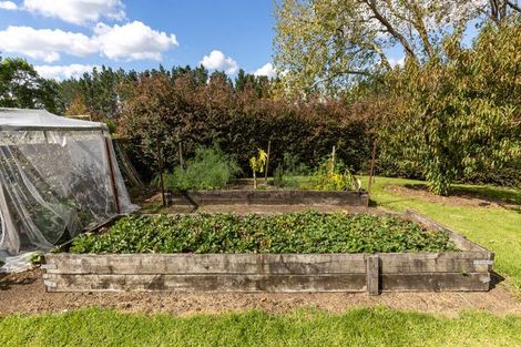 Photo of property in 319b Rotowaro Road, Huntly, 3771