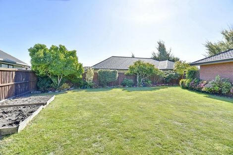 Photo of property in 17 Mounter Avenue, Northwood, Christchurch, 8051