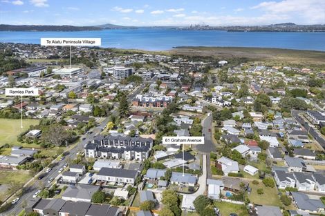 Photo of property in 61 Graham Avenue, Te Atatu Peninsula, Auckland, 0610