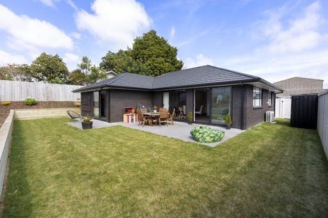 Photo of property in 9 Rehua Place, Favona, Auckland, 2024