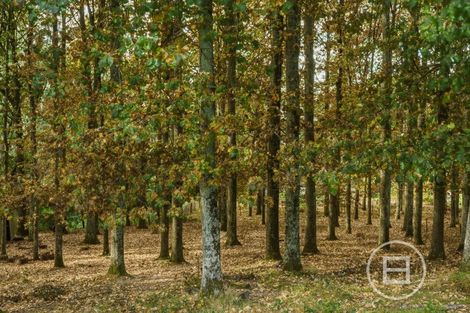 Photo of property in 258 Forestry Road, Ashley, Rangiora, 7477