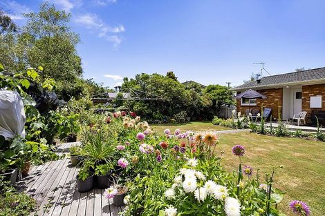 Photo of property in 55 Broadway, Stratford, 4332