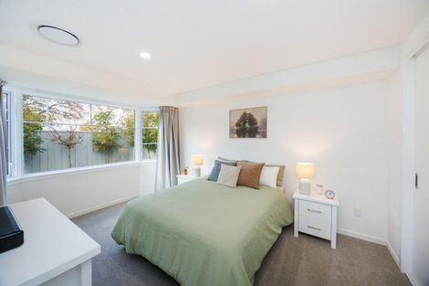 Photo of property in 265 Victoria Avenue, Hokowhitu, Palmerston North, 4410