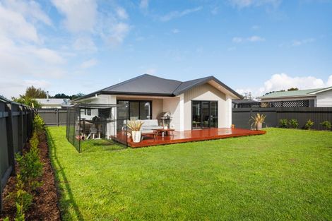 Photo of property in 7b Terrace Street, Marton, 4710