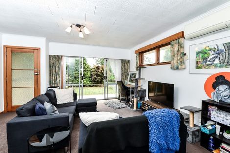 Photo of property in 23 Rimu Street, Maeroa, Hamilton, 3200
