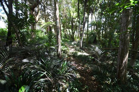 Photo of property in 1/51 Hill Street, Warkworth, 0910