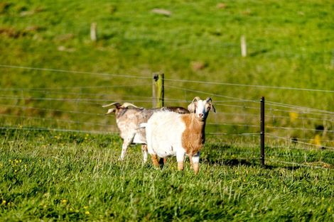 Photo of property in 743 Bay Road, Oxford, 7430