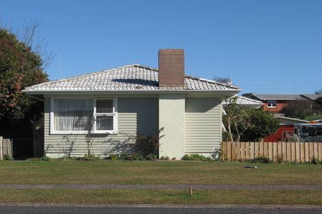 Photo of property in 117 Fairview Street, Chartwell, Hamilton, 3210
