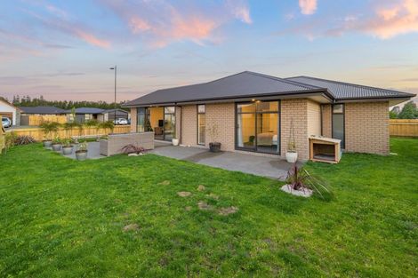 Photo of property in 88 Jean Archie Drive, Rolleston, 7614