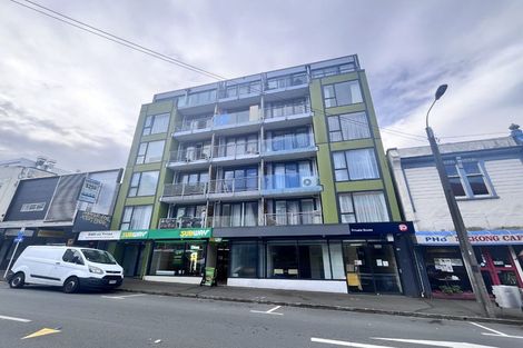 Photo of property in Dual Apartments, 401/142u Vivian Street, Te Aro, Wellington, 6011