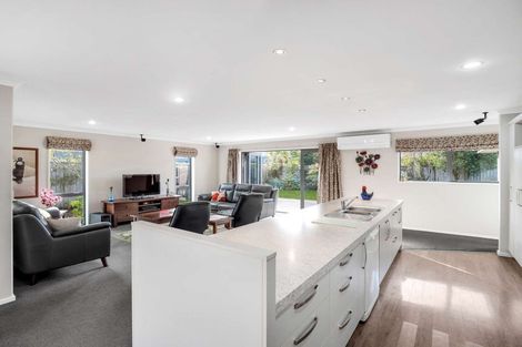 Photo of property in 141 Lowes Road, Rolleston, 7614