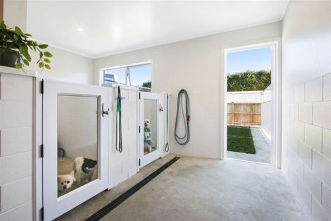 Photo of property in 381 Waihi Beach Road, Waihi, 3681