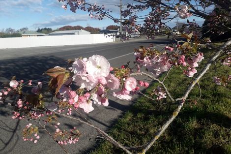Photo of property in 11 Innes Street, Glenavy, Waimate, 7980