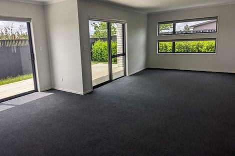 Photo of property in 43 Capper Crescent, Chartwell, Hamilton, 3210