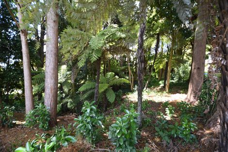 Photo of property in 1/51 Hill Street, Warkworth, 0910