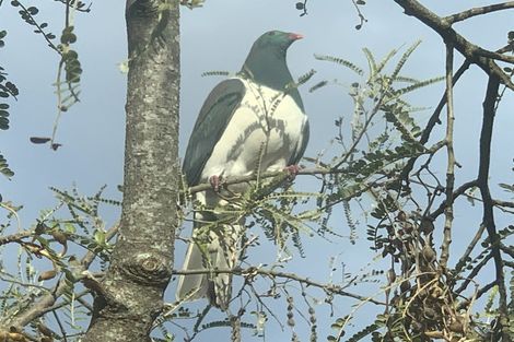 Photo of property in 6 Park Avenue Mews, Ohakune, 4625