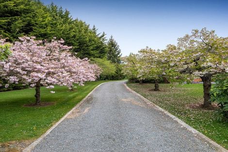 Photo of property in 87 Halkett Road, West Melton, Christchurch, 7676