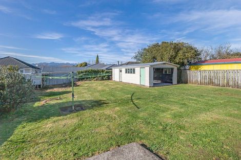 Photo of property in 96 Tiro Tiro Road, Levin, 5510