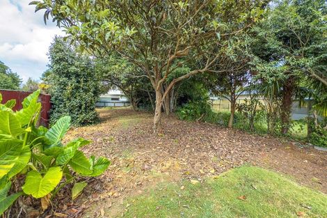 Photo of property in 16 Central Street, Matamata, 3400