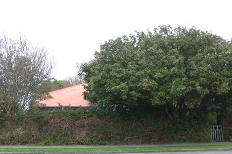 Photo of property in 41 Trafalgar Street, Levin, 5510