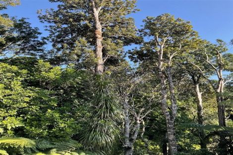 Photo of property in 14 Kereru Place, Upper Vogeltown, New Plymouth, 4310