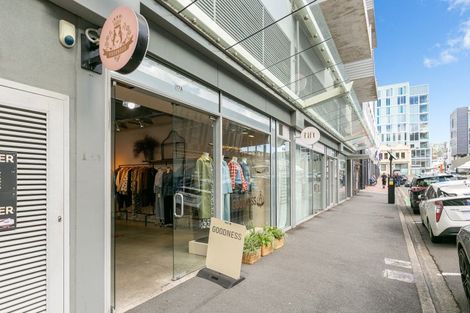 Photo of property in Forte Apartments, 52/13 College Street, Te Aro, Wellington, 6011