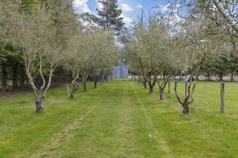 Photo of property in 2181b South Eyre Road, Eyrewell, Rangiora, 7476