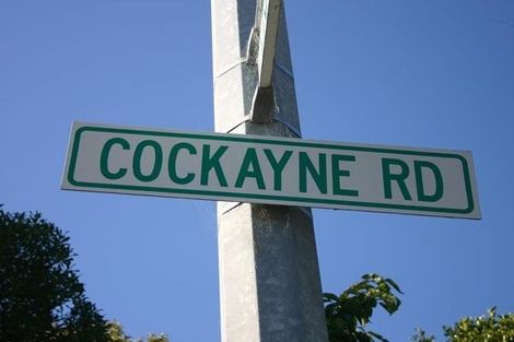 Photo of property in 258f1 Cockayne Road, Ngaio, Wellington, 6035
