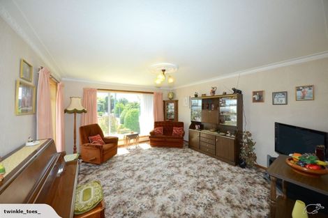 Photo of property in 38 Beckford Road, Saint Martins, Christchurch, 8022