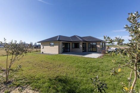 Photo of property in 63 Farm Road, Waipukurau, 4284