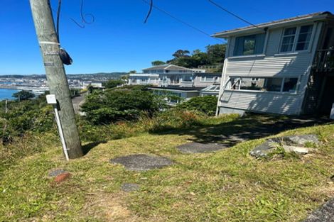 Photo of property in 106 Nicholson Road, Khandallah, Wellington, 6035