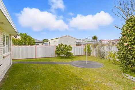 Photo of property in 174 Bath Street, Levin, 5510