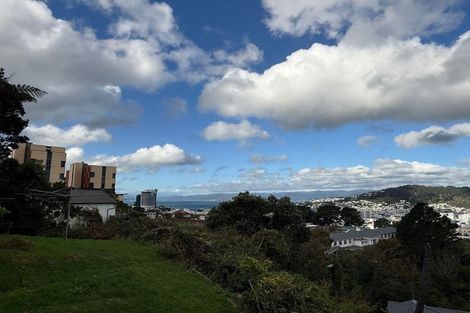 Photo of property in 58 Fairlie Terrace, Kelburn, Wellington, 6021