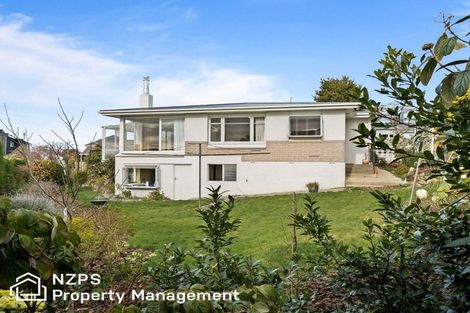 Photo of property in 146a Highgate, Roslyn, Dunedin, 9010