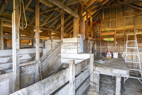 Photo of property in 8 Rutherford Road, Mosgiel, 9092