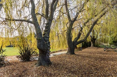 Photo of property in 3/15 Thornton Close, Leithfield, Amberley, 7481