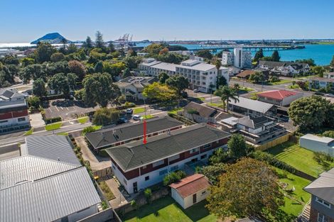 Photo of property in 32b Park Street, Tauranga, 3110