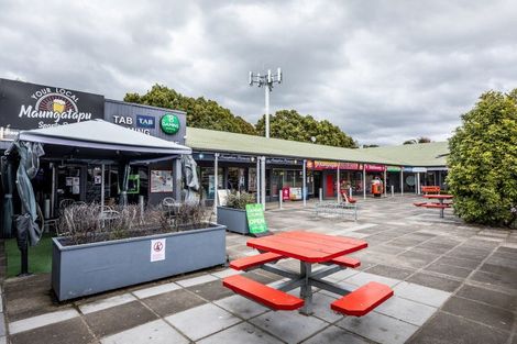 Photo of property in 31 Wickham Place, Hairini, Tauranga, 3112