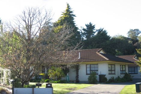 Photo of property in 13a Shortland Place, Havelock North, 4130