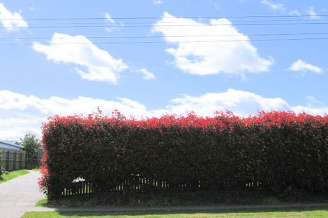 Photo of property in 2/65 Pihanga Street, Taupo, 3330