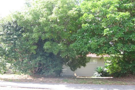 Photo of property in 33 Ayton Drive, Totara Vale, Auckland, 0629