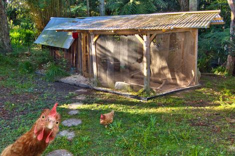 Photo of property in 196 Godley Road, Titirangi, Auckland, 0604