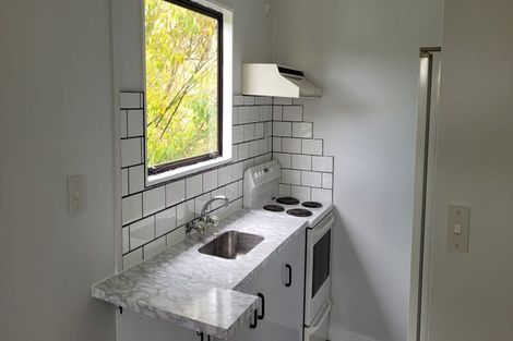 Photo of property in 152 Raroa Road, Aro Valley, Wellington, 6012