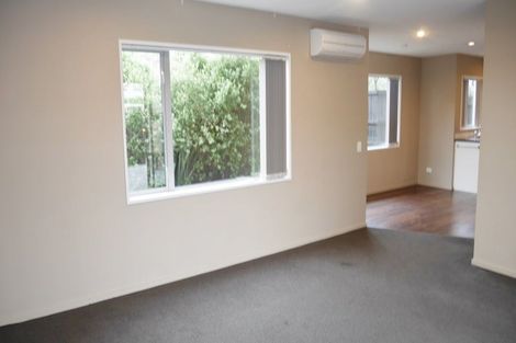 Photo of property in 336c Selwyn Street, Addington, Christchurch, 8024