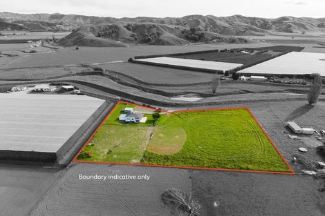Photo of property in 194 Kaimoe Road, Patutahi, Gisborne, 4072