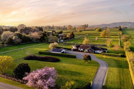 Photo of property in 365 Maungatautari Road, Cambridge, 3494