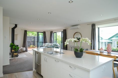 Photo of property in 8a Sheen Street, Roslyn, Dunedin, 9010