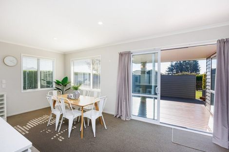 Photo of property in 29 Wapiti Avenue, Feilding, 4775