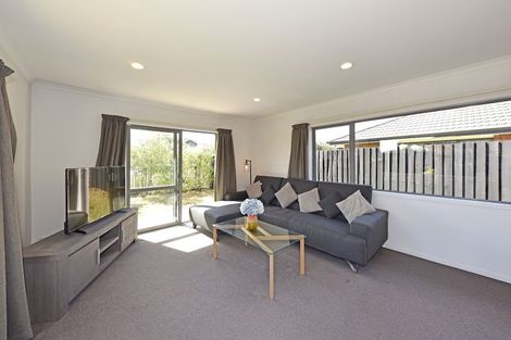 Photo of property in 45 Maclaren Road, Wigram, Christchurch, 8042